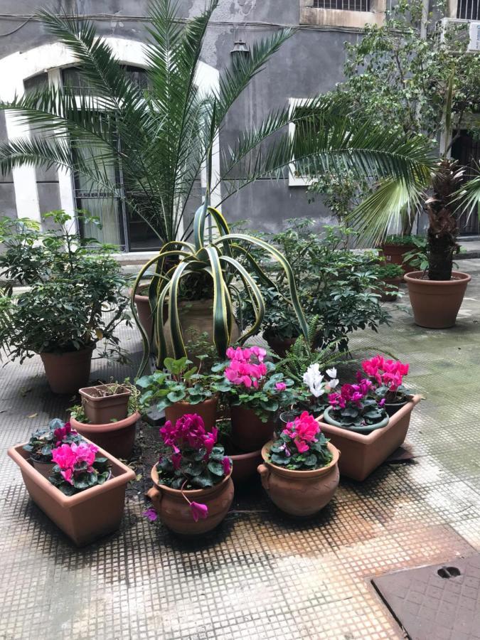 Elegante Appartamento Centro Storico 卡塔尼亚 外观 照片